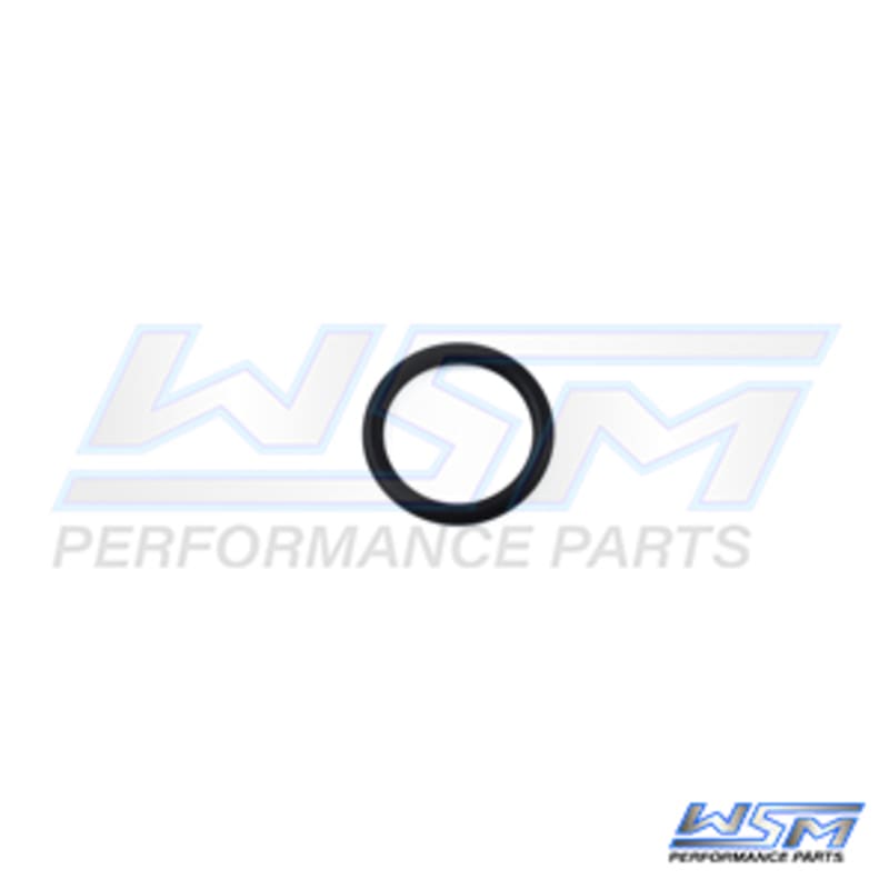 Joint torique d'injecteur Polaris 1200 Genesis / MSX 140 03-04