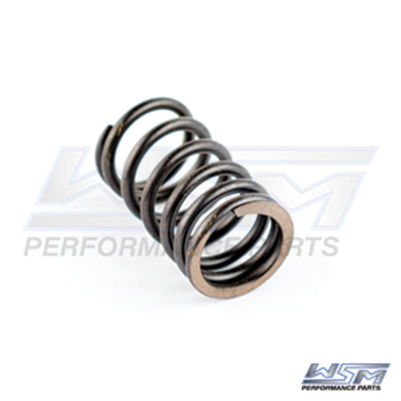 Ressort de soupape Sea-Doo 1503 / 1630 4-Tec extérieur 02-23 / Can-Am 500 / 650 02-05