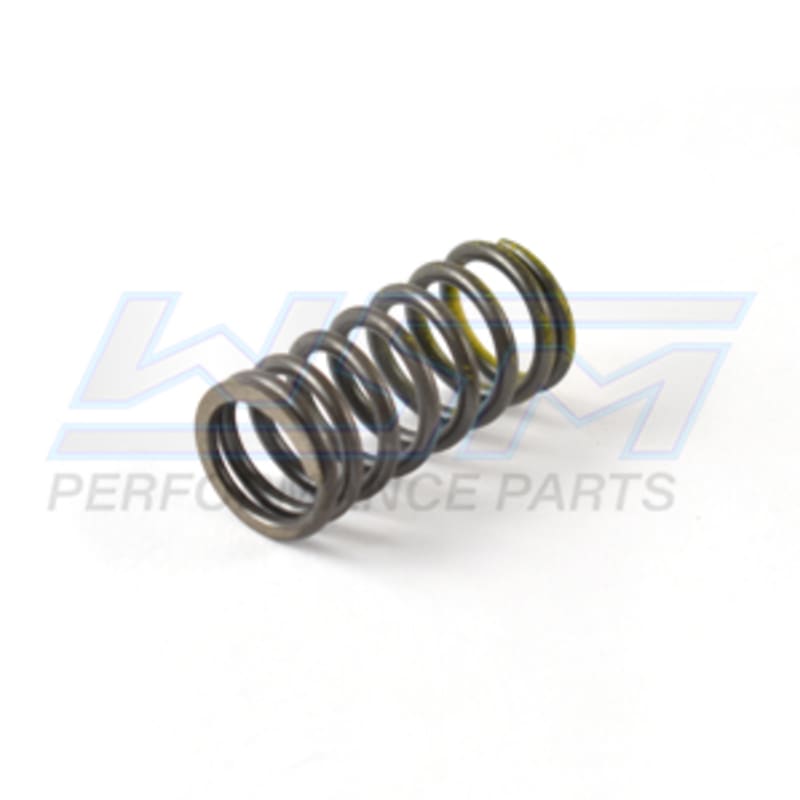 Ressort de soupape Sea-Doo 1503 / 1630 4-Tec intérieur 02-26