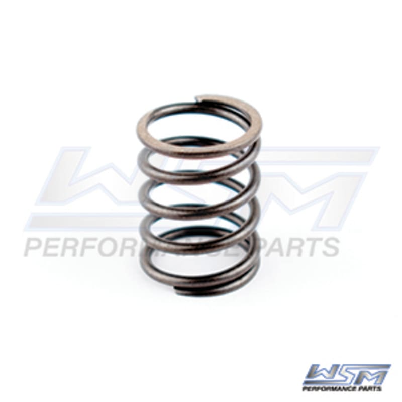 Ressort d'axe de valve rotative Sea-Doo 580 - 800 89-05