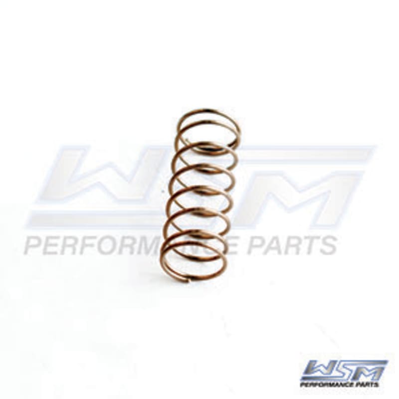 Ressort de valve d'échappement Sea-Doo 800 / 951 98-05
