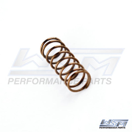 Ressort de valve d'échappement Sea-Doo 951 DI 00-07