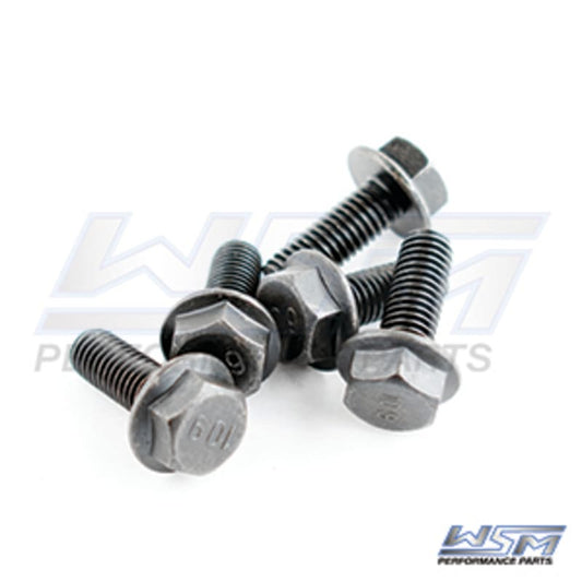 Vis de volant magnétique / moteur / rotor Sea-Doo 1503 / 1630 4-Tec 03-26